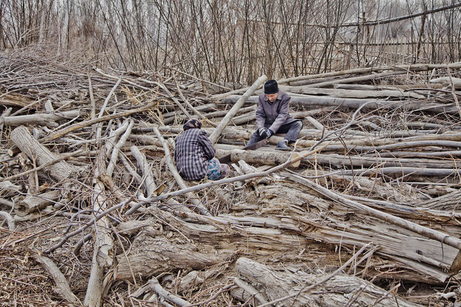 Đôi vợ chồng già chặt củi mang về đốt lửa sưởi ấm để chống chọi với mùa đông lạnh giá ở Tân Cương.