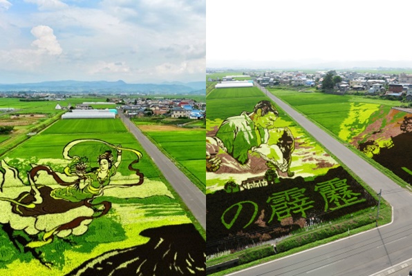 Du khách mê mẩn ngắm những nhân vật hoạt hình tuyệt đẹp trên những cánh đồng lúa ở Nhật Bản