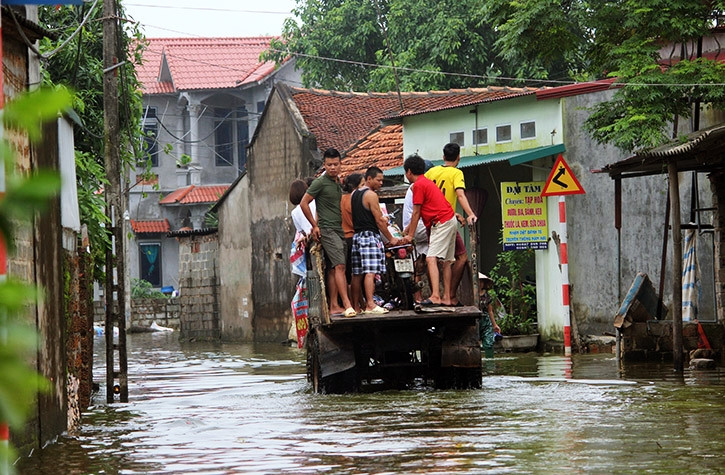 Người ở chung với gia súc, gia cầm tại "rốn lũ" ngoại thành Hà Nội sau trận mưa lớn