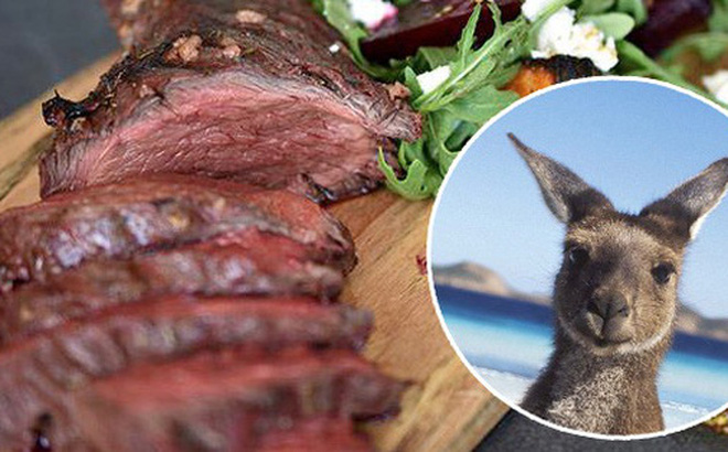 Không cần nhà khoa học kêu gọi, thịt kangaroo đã được người dân Australia ăn và xuất khẩu từ lâu