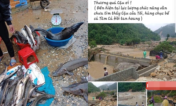 Đại bi kịch sau loạt ảnh hồ hởi khoe bắt được cá bạc tỷ vì lũ cuốn ở Lai Châu