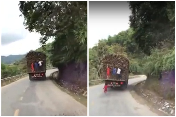 Nghệ An: "Mía tặc" tiểu học đu vắt vẻo trên xe tải đang chạy để "hành nghề"