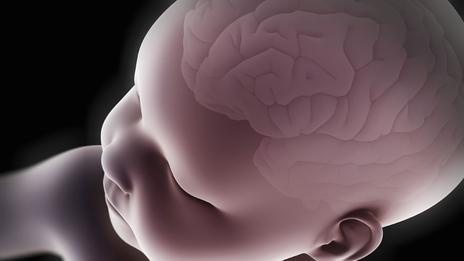 Máy chụp cắt lớp não bộ thai nhi lần đầu cho thấy căng thẳng khi mang thai ảnh hưởng đến não bộ của trẻ em