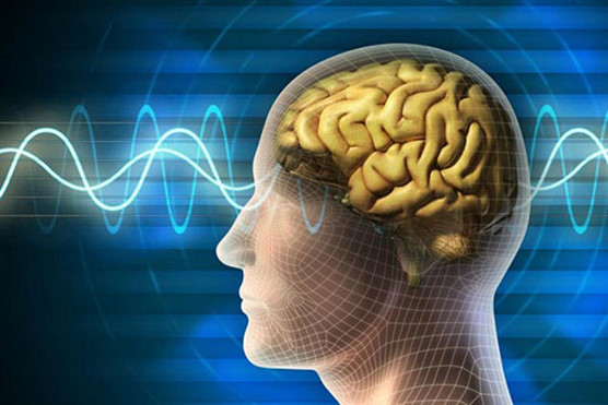 Các nhà khoa học phát hiện một dòng năng lượng bùng nổ ở não người sau khi chết