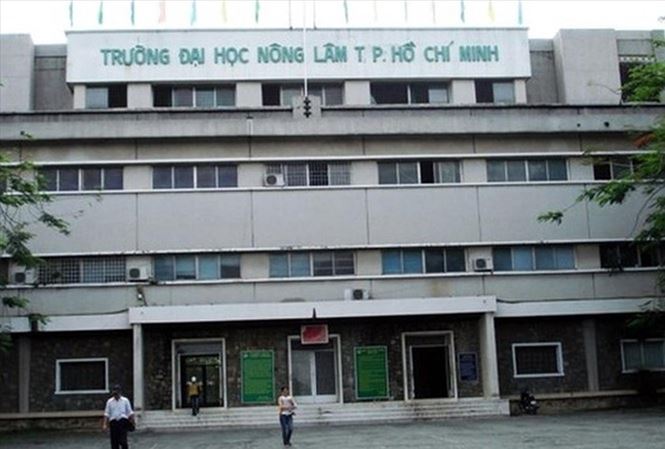 Hơn 300 sinh viên trường Đại học Nông lâm TP HCM học đến năm thứ 8 mà có nguy cơ bị buộc thôi học