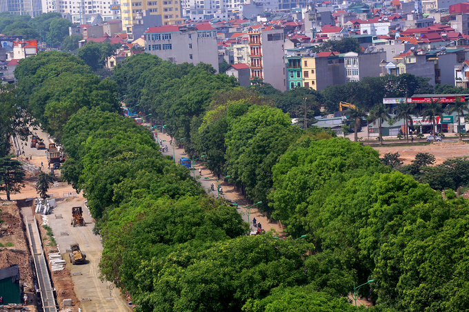 Hà Nội sẽ chặt 1.300 cây xanh để mở rộng đường vành đai