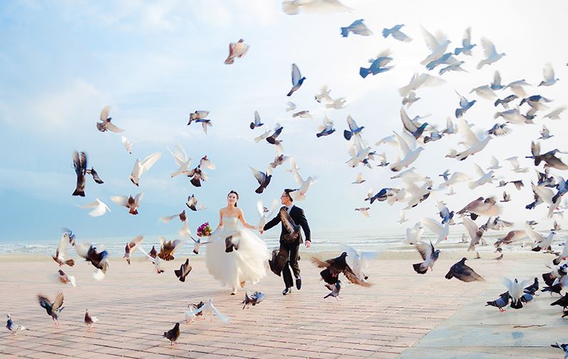 Công viên Biển Đông với hàng ngàn chú bồ câu