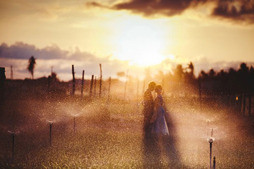 Bức ảnh cưới hoàng hôn trên ruộng tỏi Lý Sơn