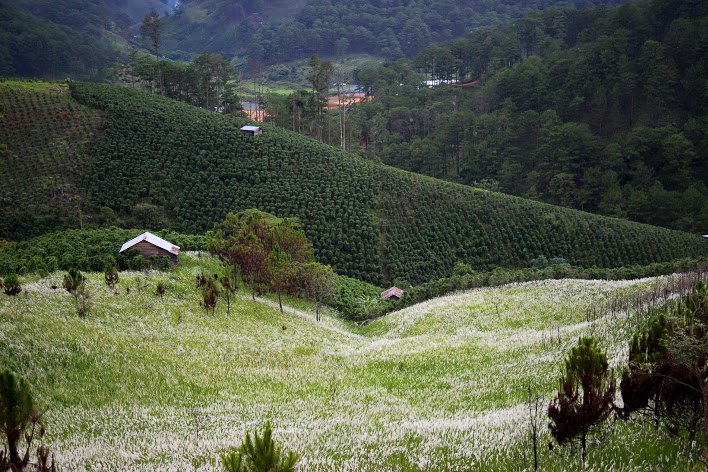 Thoạt nhìn du khách sẽ ngỡ mình đang lạc đến Mộc Châu hay Hà Giang