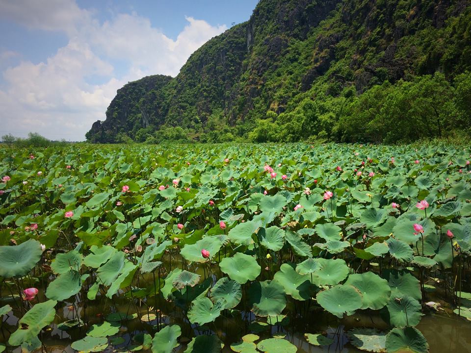 du-lich-ninh-binh-19