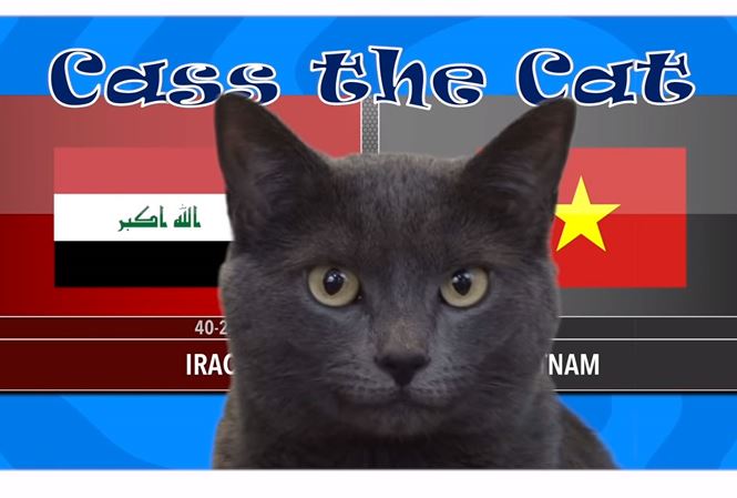 Mèo "tiên tri" nổi tiếng thế giới của Anh quốc dự đoán ĐT Việt Nam thắng ĐT Iraq