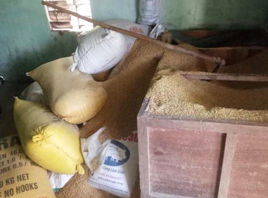 Gia đình làm nghề buôn lúa gạo trình báo việc bị mất trộm 49 cây vàng giấu trong đống thóc