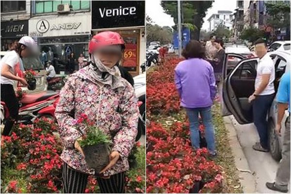 Bức xúc cảnh người dân tự ý dừng xe, nhổ hoa trang trí trên đường Kim Mã để mang về nhà trưng