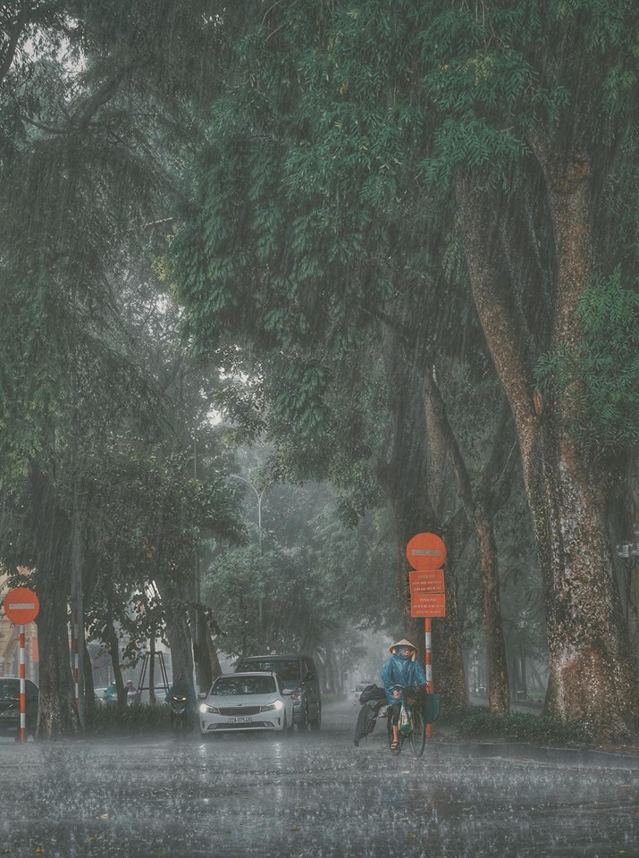 Tháng 4 năm nay, Hà Nội lại lặng lẽ mưa rơi, tạo nên khung cảnh rất đặc biệt, tuyệt đẹp. Những cảnh mưa chill đang chờ bạn khám phá, bạn nên xem ngay thôi!