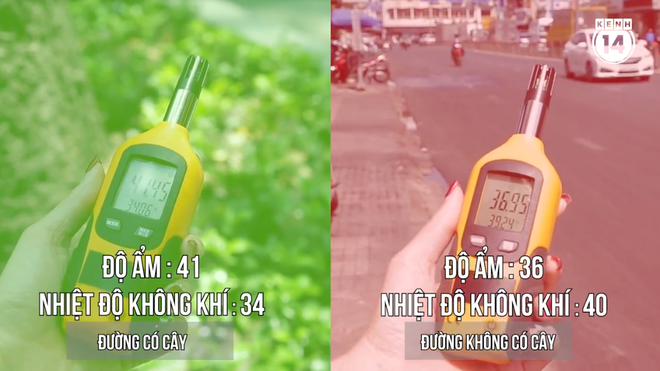 Ảnh 4: Sài Gòn nắng nóng bất thường