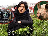 Bất ngờ cách làm video kiếm tiền của idol chăn lợn Trung Quốc: Thu nhập 3.000 USD/tháng, có 5 triệu người theo dõi