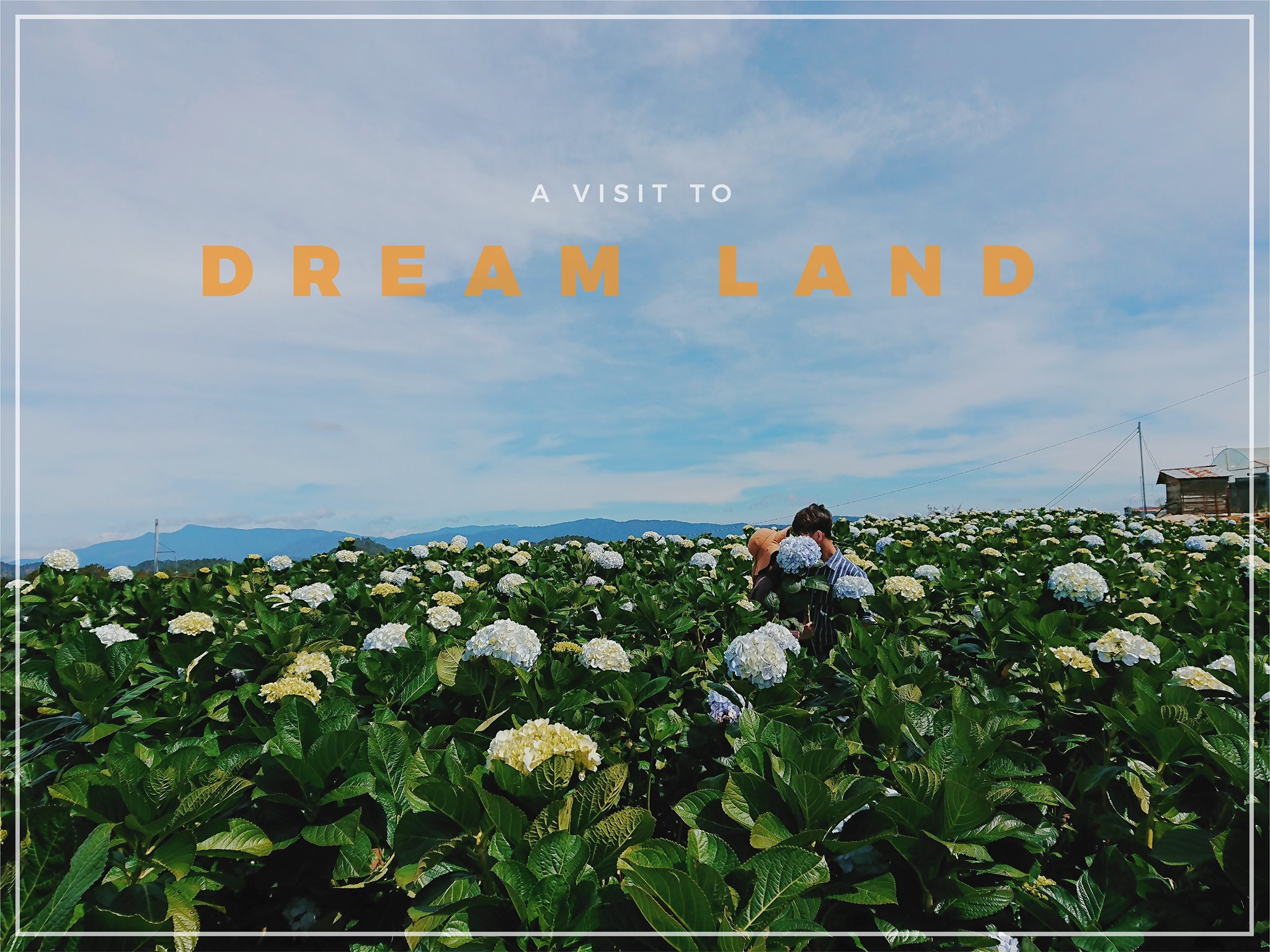 Checkin-Holic: A visit to dream land - Trần Hoài Bảo