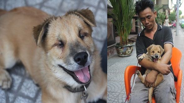 Rớt nước mắt trước cuộc sống hiện tại của anh chàng nghèo mất đi chú chó mù: Được an ủi hơn khi có người bạn mới