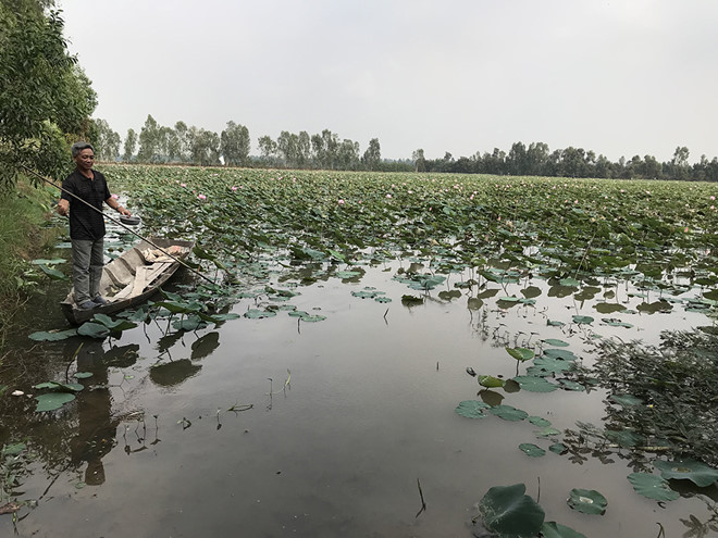 Sông Mê Kông 'trơ đáy', ĐBSCL lo hạn mặn khốc liệt: Người dân phải chịu cảnh sống chung với 'nước kém'