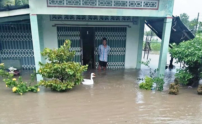 Mưa lớn kèm giông lốc, gần 800 căn nhà ở Cà Mau bị thiệt hại  