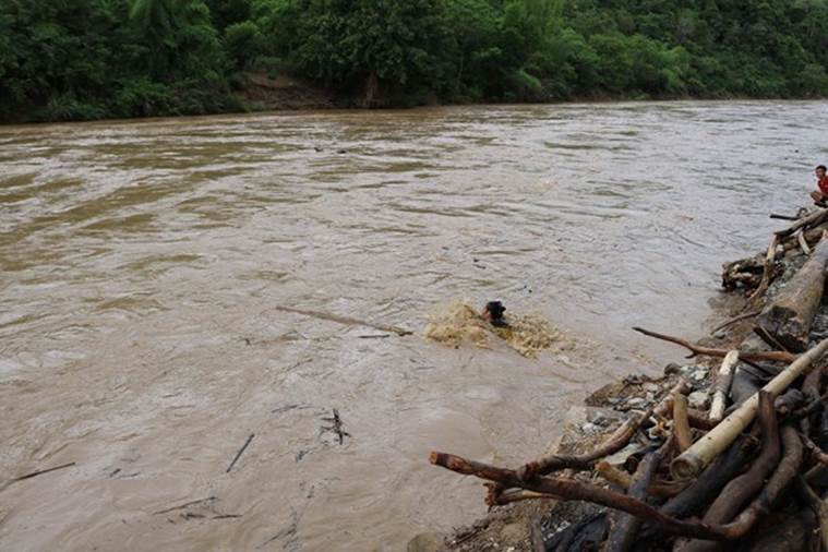 Nghệ An: Mặc kệ dòng nước lũ chảy xiết, người dân vẫn liều mình vớt củi gỗ