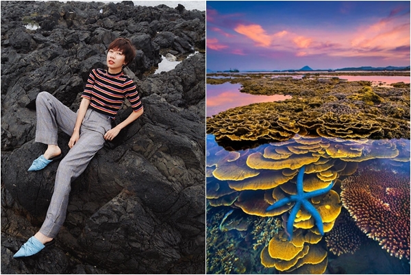 Hóa ra Phú Yên còn có một "thiên đường san hô trên cạn" mà không phải ai cũng biết này!