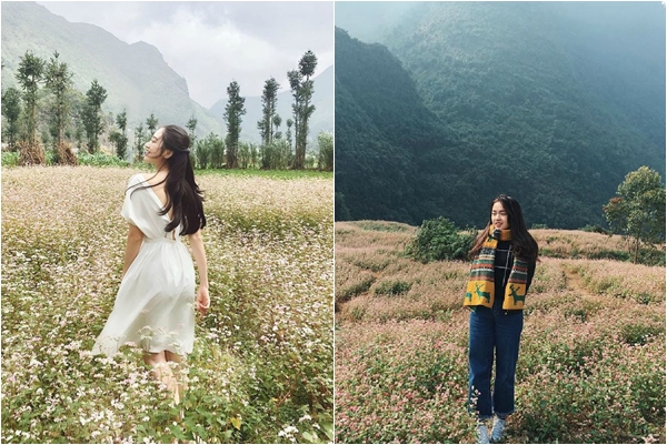 Ghim ngay 6 địa điểm ngắm hoa Tam Giác Mạch đẹp nhất ở "Nơi đá nở hoa" - Hà Giang 