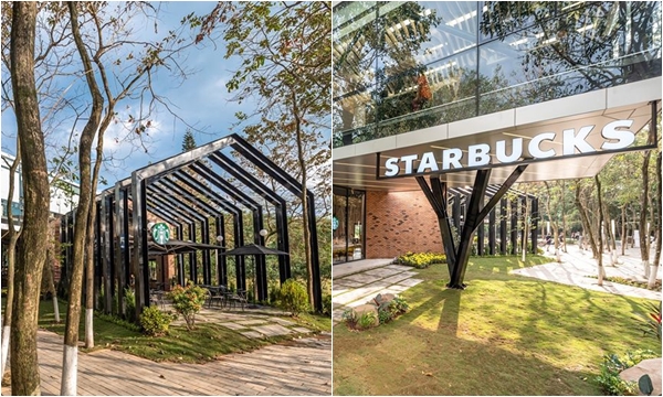 Mục sở thị Starbucks Ecopark "sang - xịn - mịn" lại còn "xanh mướt" mới khai trương 