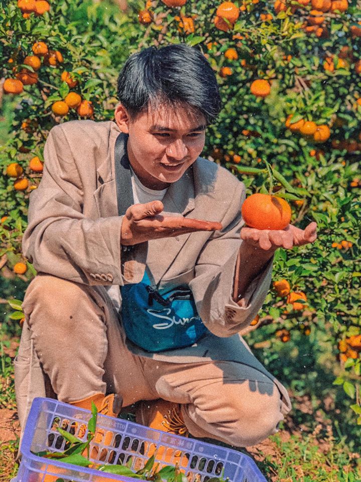 Phát hiện Vườn cam trĩu quả đang vào mùa ở Đà Lạt, đứng vào thôi cũng có ngay ảnh đẹp