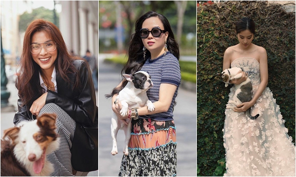 Cuộc đua chụp ảnh cùng thú cưng gần đây của sao Việt: Phượng Chanel mặc cả cây 100 triệu vẫn "thua đau" Nam Em và Tăng Thanh Hà
