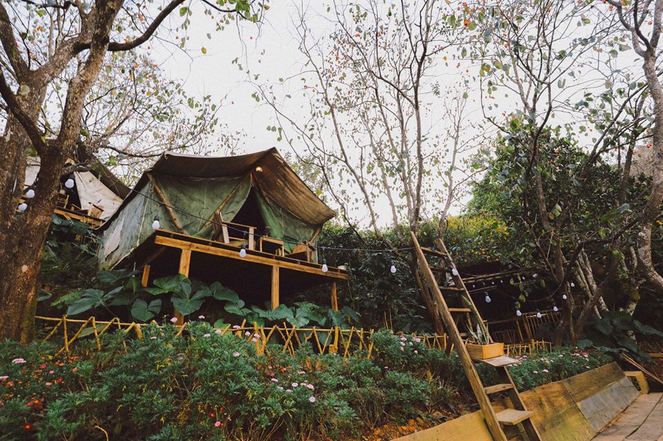 Homestay lều gỗ ở Đà Lạt nườm nượp cặp đôi săn lùng bởi sự hoang dại và có thể tắm tiên