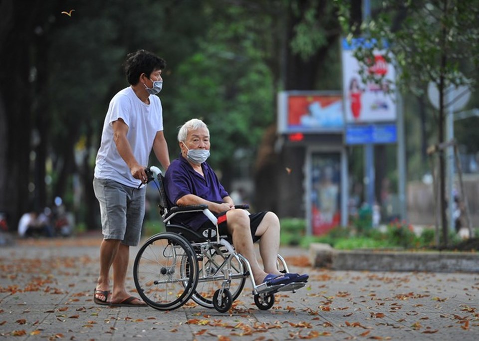 Rủ nhau đi ngắm hoa chò vàng đang vào mùa rụng đẹp 