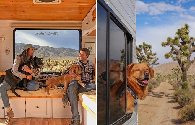 Cặp đôi đi phượt khắp nước Mỹ cùng 2 chú chó kể về cuộc sống trên chiếc ô tô tiện nghi đầy đủ như khách sạn