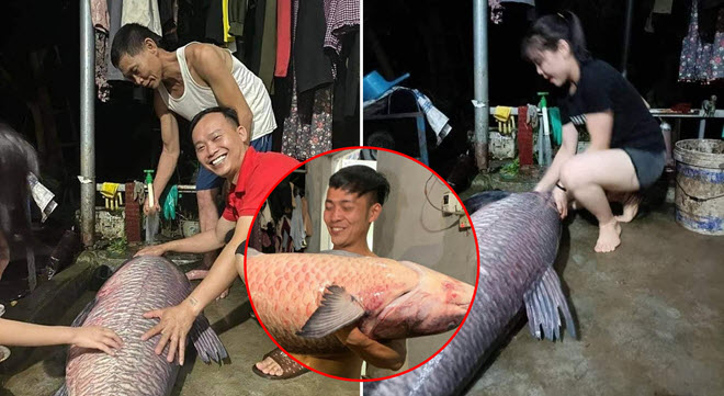 Cá trắm đen nặng hơn nửa tạ người dân bắt được ở hồ thủy điện Thác Bà khiến netizen đua nhau bày cách chế biến