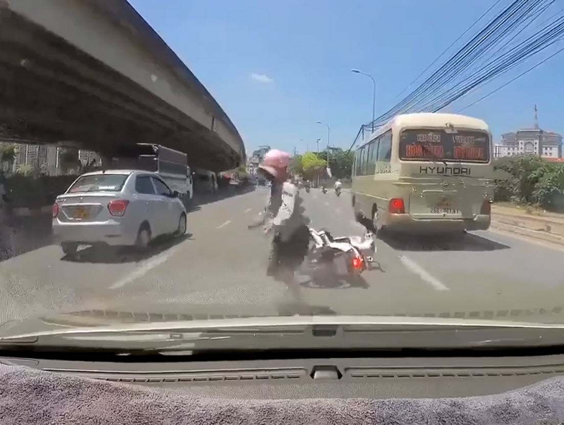 Cô gái vứt xe giữa đường để nhặt mèo