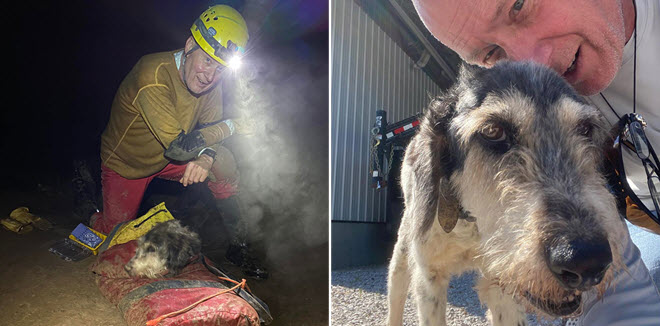 Kỳ diệu cuộc giải cứu thành công chú chó Poodle mắc kẹt 152 m dưới lòng đất suốt 2 tháng