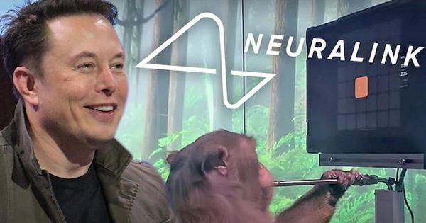 Tận mắt chứng kiến con khỉ của Elon Musk chơi game "nhoay nhoáy" giỏi y như người