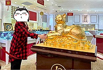 Hà Nội: Cận cảnh tượng mèo bằng vàng 9999 khổng lồ nặng 48 kg