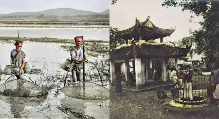 Chiêm ngưỡng loạt ảnh “quý như vàng” về Bắc Bộ những năm 1900: Vườn Bách Thảo ở Hà Nội, bánh xe nước ngoại thành