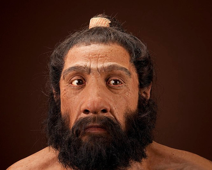 tại sao loài người không còn lông lá như thời tiền sử