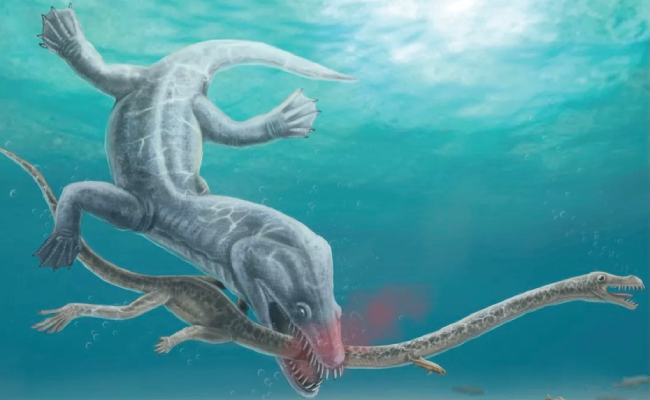 Tìm thấy quái vật biển khổng lồ 240 triệu năm tuổi bị một "sinh vật biển lạ" xé toạc đầu