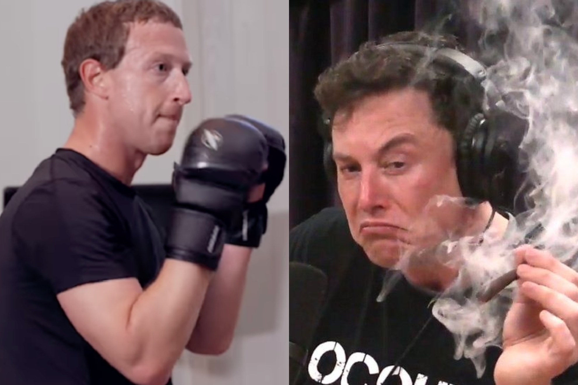 Elon Musk và Mark Zuckerberg chuẩn bị "so găng", dân mạng thi nhau đặt tiền cá cược