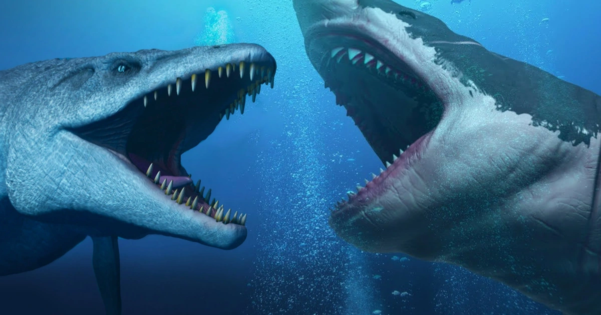 Trận chiến giữa cá mập Megalodon và thằn lằn Mosasaurus: Ai sẽ là kẻ thắng cuối cùng