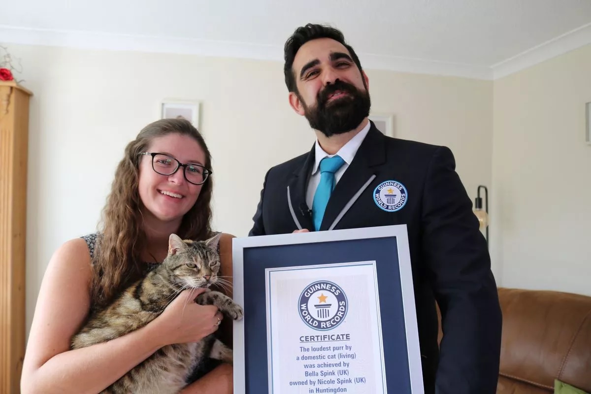 chú mèo phá kỷ lục Guinness với tiếng gừ gừ