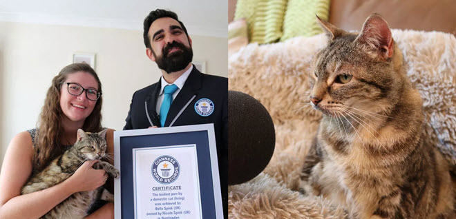 Độc lạ chú mèo phá kỷ lục Guinness với tiếng gừ gừ "to hơn tiếng nước sôi"