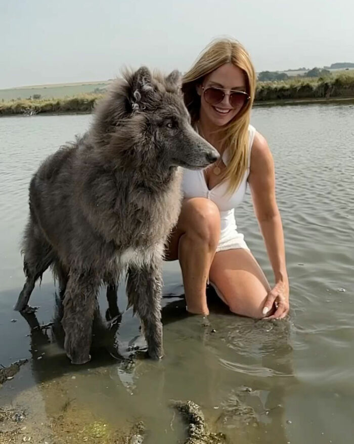 Cô gái nuôi con sói xanh đặc biệt