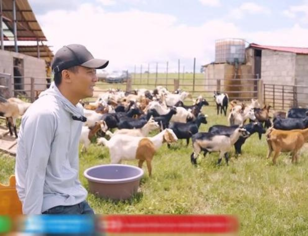 Quang Linh Vlog thông báo m.ất 70 con dê, hàng chục tỷ đầu tư có nguy cơ đổ sông đổ bể