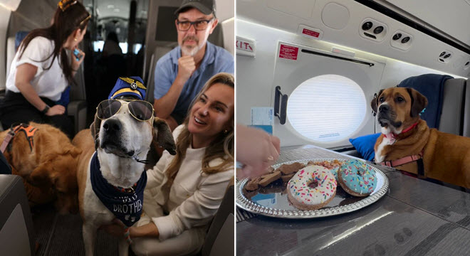 Độc lạ hãng hàng không sang trọng dành cho chó có một không hai trên thế giới