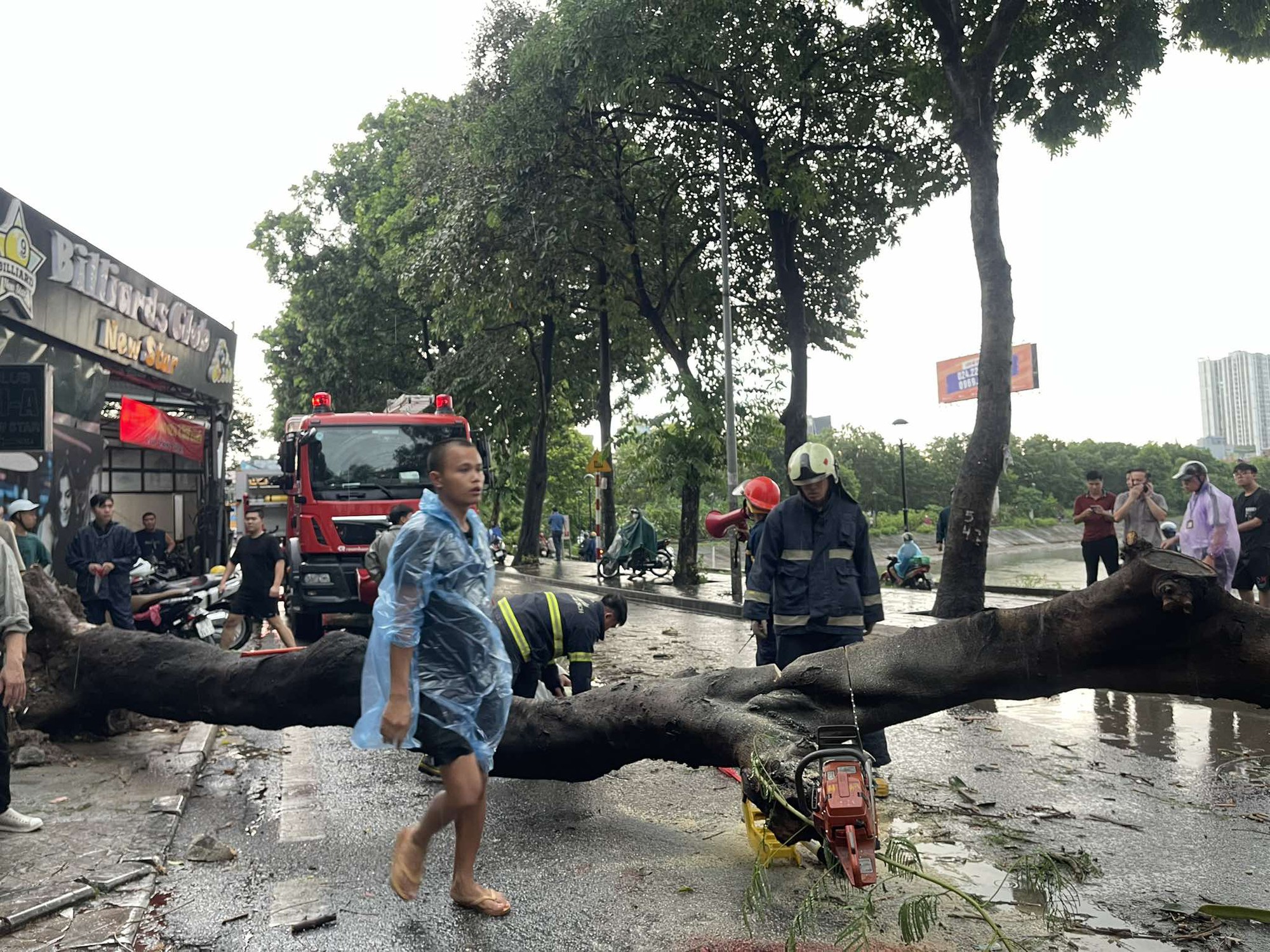 Thông tin vụ cây xanh đ;ổ trúng hai người đi xe máy ở Hà Nội