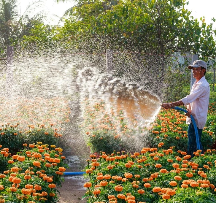 mẹo tạo ra một ốc đảo xanh trong không gian nhỏ